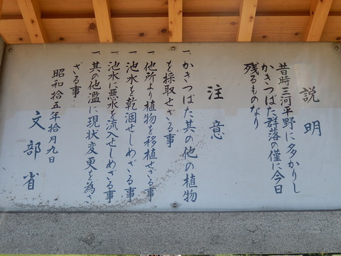 DSCN1915