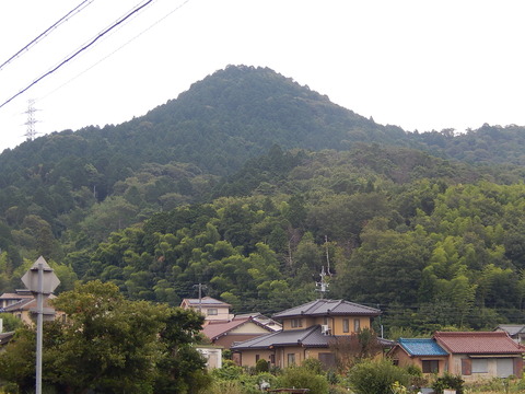 DSCN5421