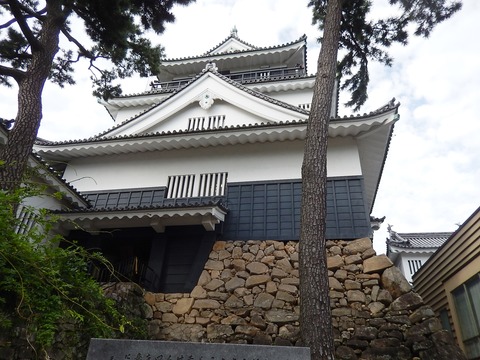 DSCN8384