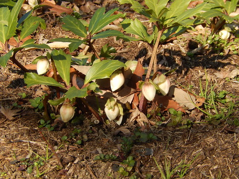 DSCN0587