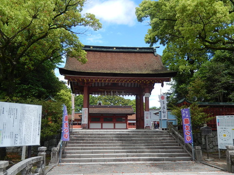 DSCN2940