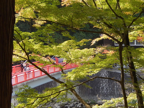 DSCN7329