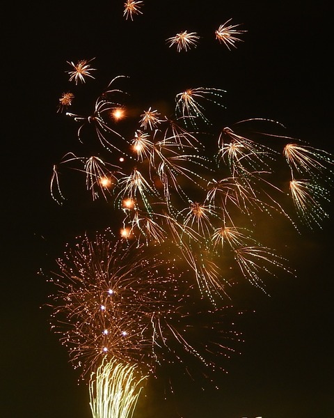 DSCN5002 (2)