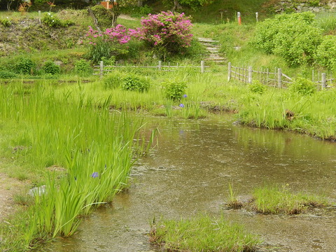DSCN1428