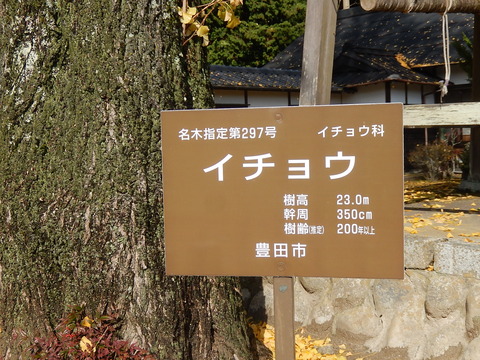 DSCN8146