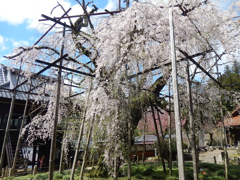 DSCN0479