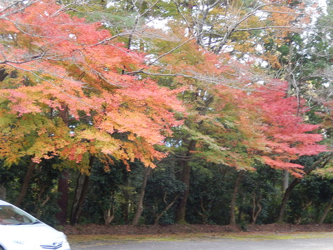 DSCN7841