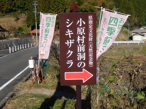DSCN9656