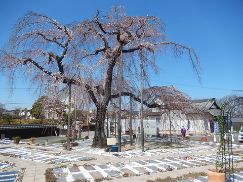 DSCN2148