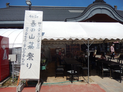DSCN3285