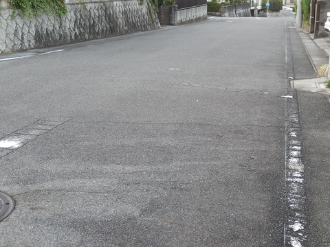 DSCN9355