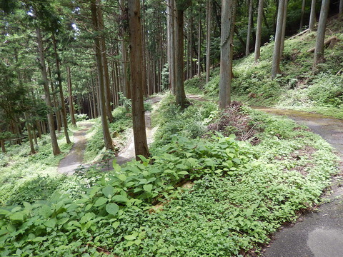 DSCN7572