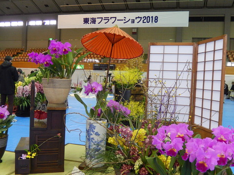 DSCN0140