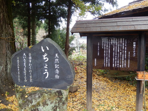 DSCN8796