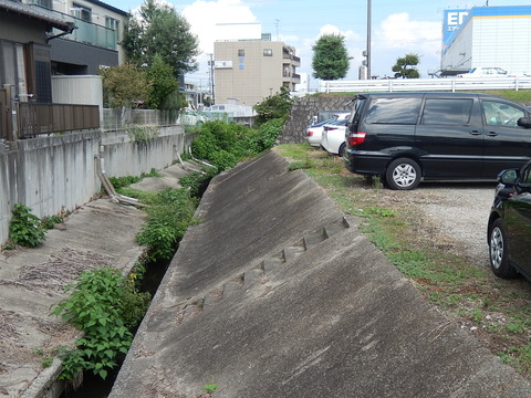 DSCN8507
