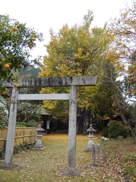 DSCN8791