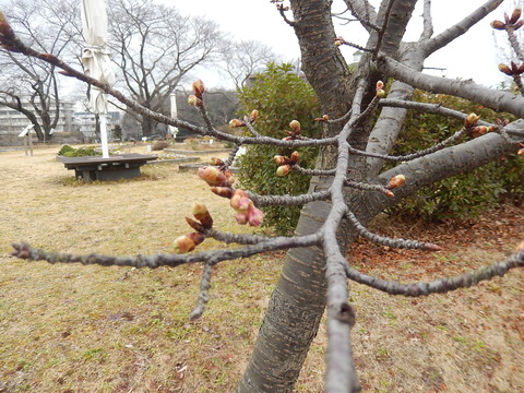 DSCN0939