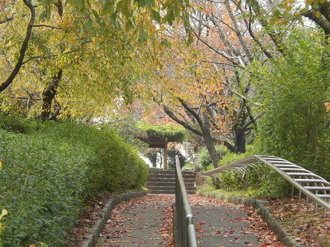 DSCN8479