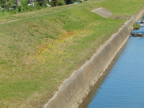 DSCN8885