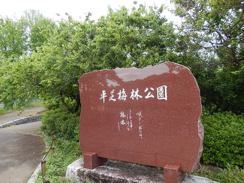 DSCN2767