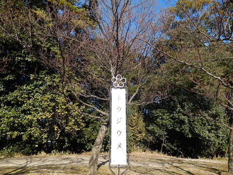DSCN1834