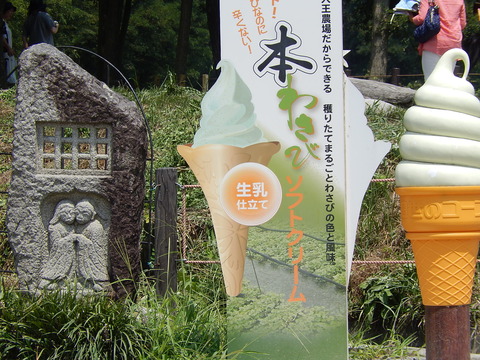 DSCN4896