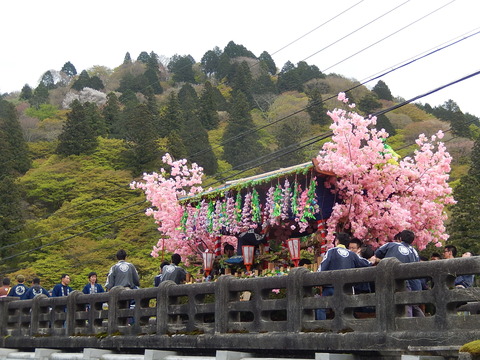 DSCN0617