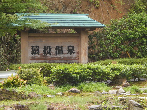 DSCN3036
