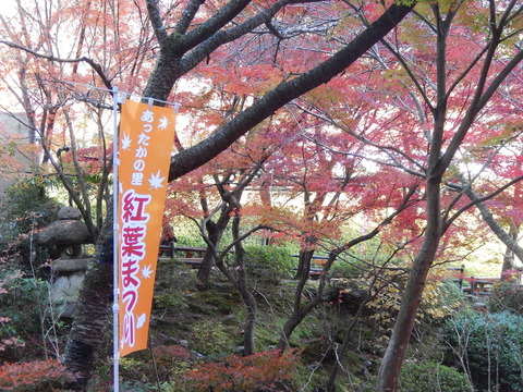 DSCN9282