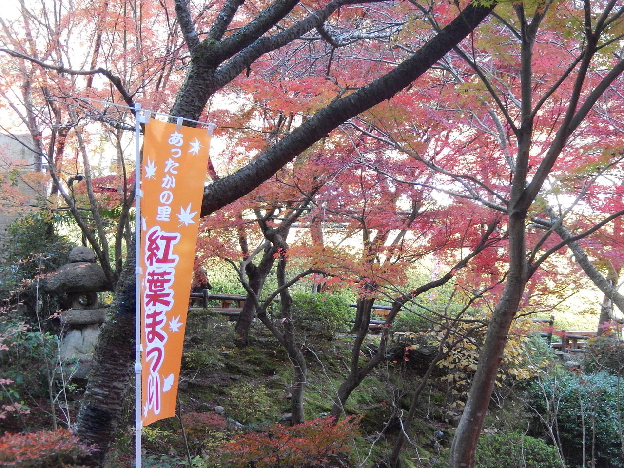猿投温泉の紅葉まつり やつば池散歩道 豊田市 のブログ 猿投温泉の紅葉まつり やつば池散歩道 豊田市 のブログ