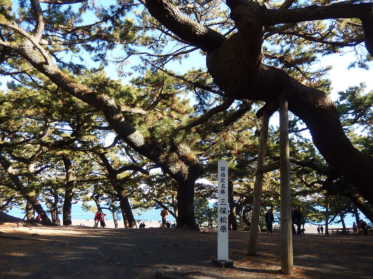 静岡市の三保の松原からの富士山 やつば池散歩道 豊田市 のブログ 静岡市の三保の松原からの富士山 やつば池散歩道 豊田市 のブログ