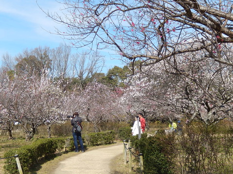 DSCN2308