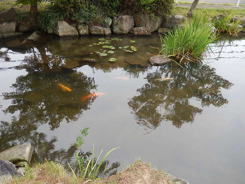 DSCN8976
