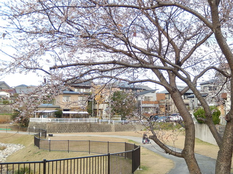 DSCN0081