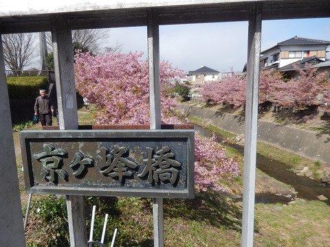 DSCN9453