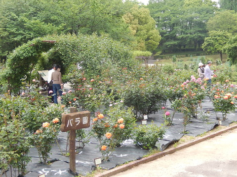 DSCN3598