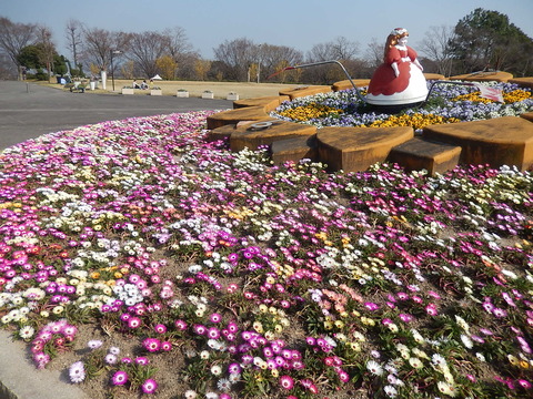 DSCN2230