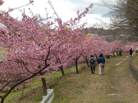 DSCN2331