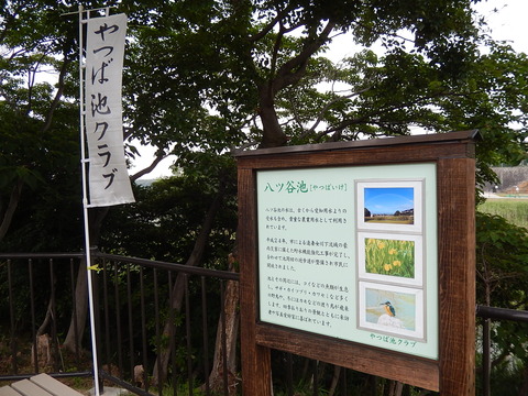DSCN2672