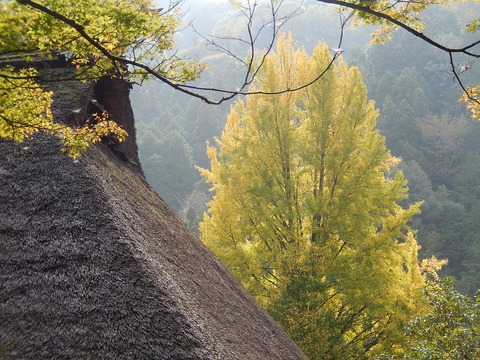 DSCN7308