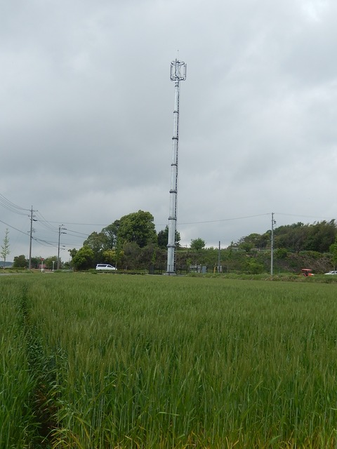 DSCN1344