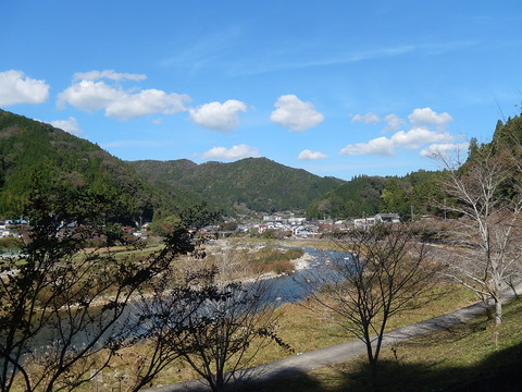 DSCN8905