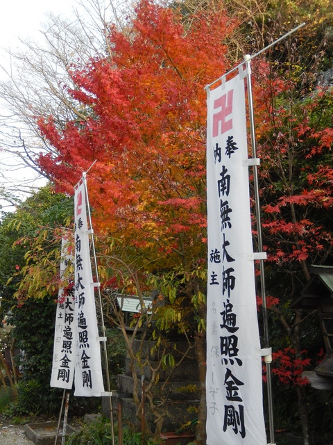 DSCN9571