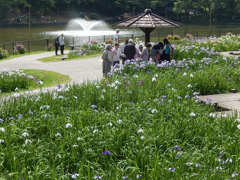 DSCN3255