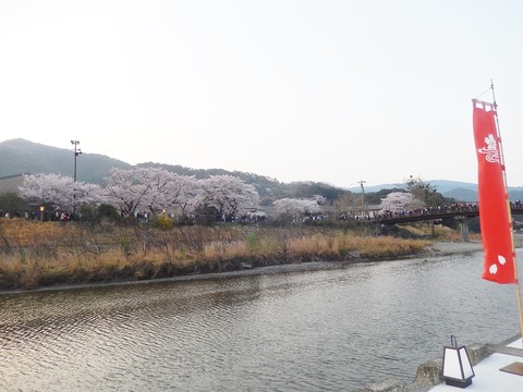 DSCN2214