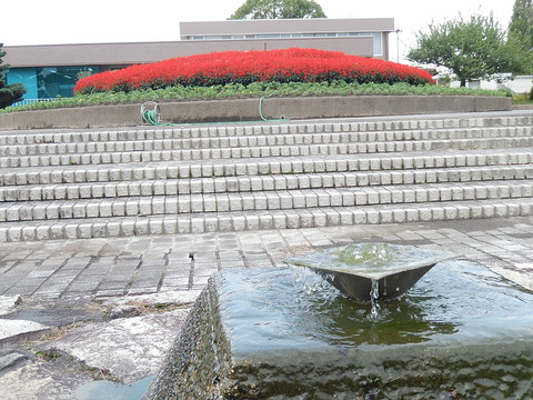 DSCN5778