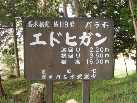 DSCN1886