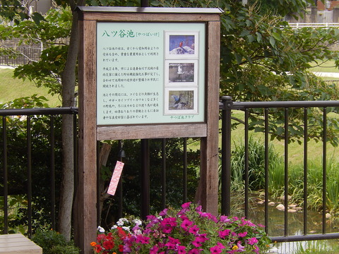 DSCN3514