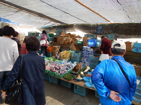 DSCN0673