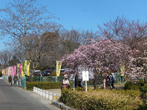 DSCN7383